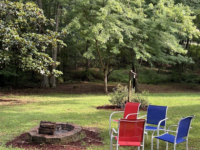 10 Meadow Brook Ln, Spencer, TN 38585 - view of grassy yard with a fire pit