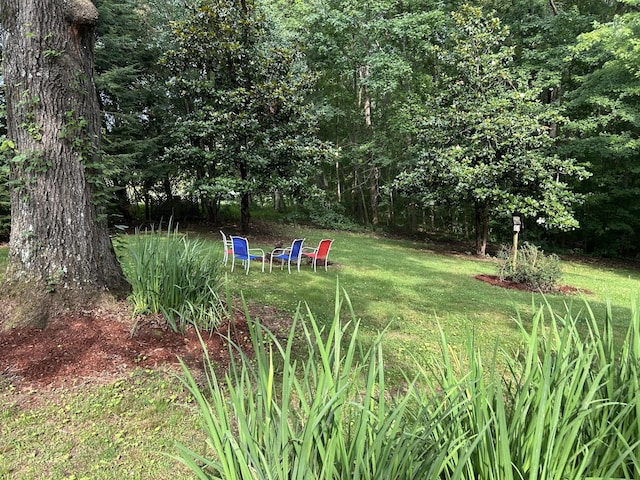 10 Meadow Brook Ln, Spencer, TN 38585 - view of green lawn