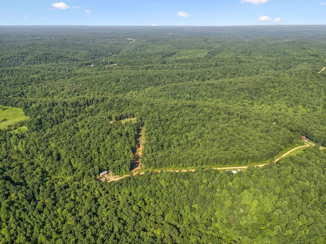 220 Ellies Run, Mount Pleasant, TN 38474