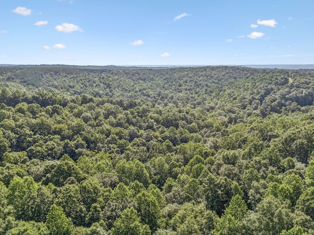 220 Ellies Run, Mount Pleasant, TN 38474