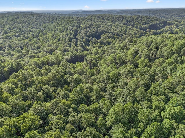220 Ellies Run, Mount Pleasant, TN 38474
