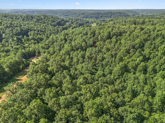 220 Ellies Run, Mount Pleasant, TN 38474