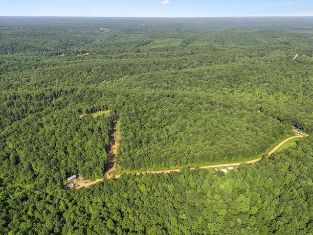 220 Ellies Run, Mount Pleasant, TN 38474