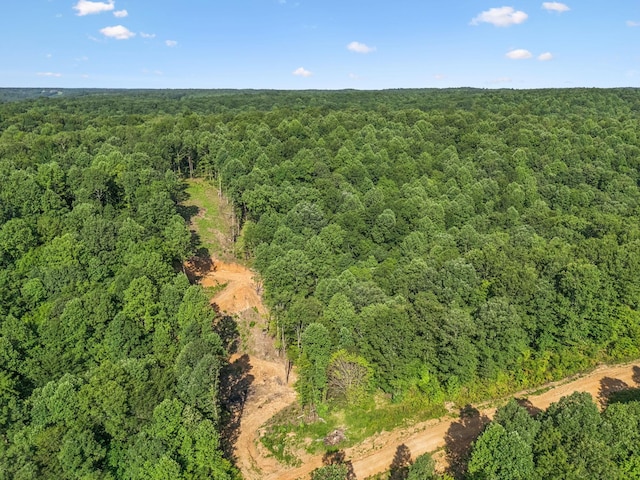 220 Ellies Run, Mount Pleasant, TN 38474