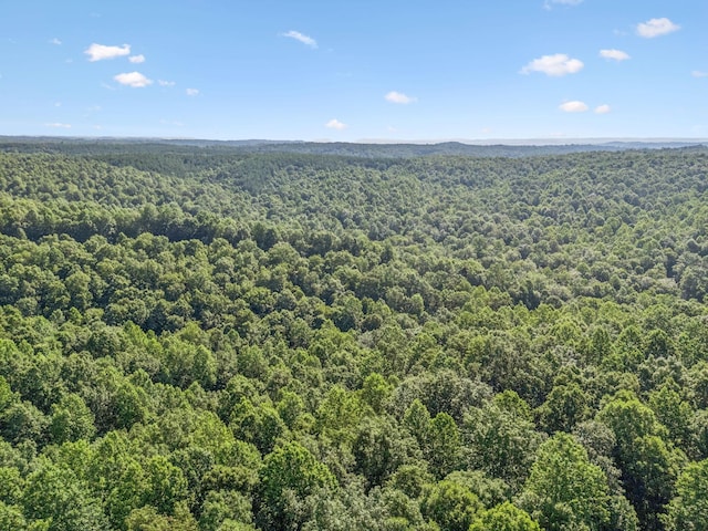 220 Ellies Run, Mount Pleasant, TN 38474