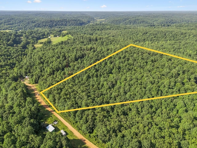 220 Ellies Run, Mount Pleasant, TN 38474