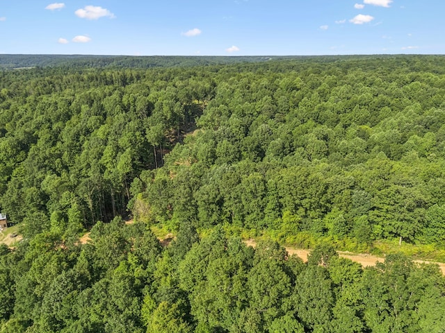 220 Ellies Run, Mount Pleasant, TN 38474