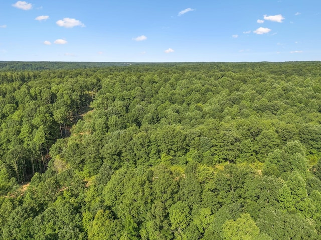 220 Ellies Run, Mount Pleasant, TN 38474