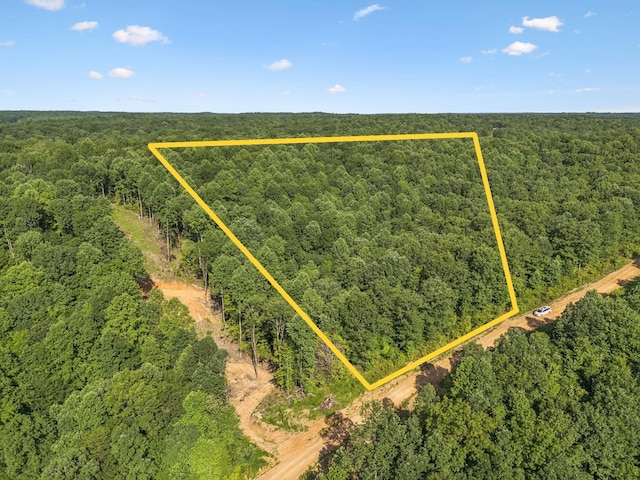 220 Ellies Run, Mount Pleasant, TN 38474