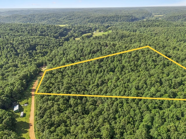 220 Ellies Run, Mount Pleasant, TN 38474