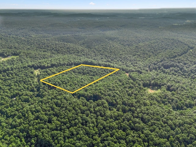 220 Ellies Run, Mount Pleasant, TN 38474