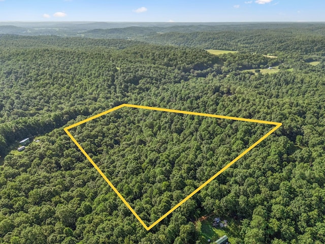 220 Ellies Run, Mount Pleasant, TN 38474