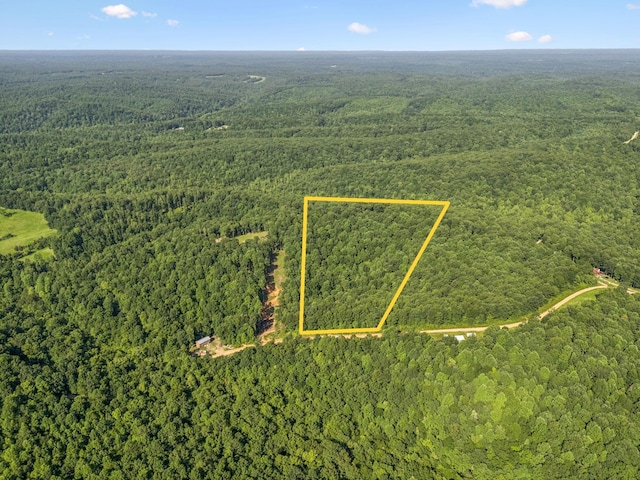 220 Ellies Run, Mount Pleasant, TN 38474