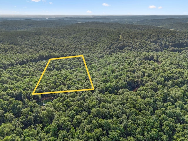220 Ellies Run, Mount Pleasant, TN 38474