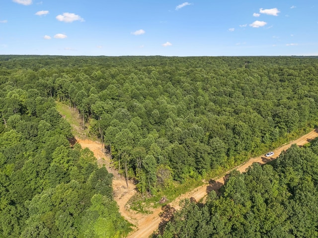 220 Ellies Run, Mount Pleasant, TN 38474