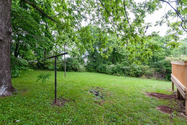 303 Lee Dr, Columbia, TN 38401 - photo 25