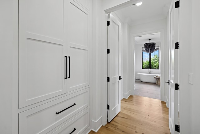 4720 Edwardian Trce, Franklin, TN 37067 - corridor featuring light wood-style floors