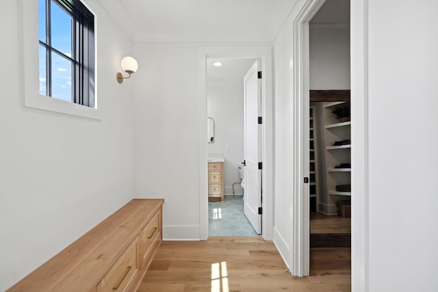 4720 Edwardian Trce, Franklin, TN 37067 - hallway with light wood-style flooring, recessed lighting, and crown molding
