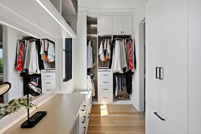 4720 Edwardian Trce, Franklin, TN 37067 - spacious closet featuring light wood-type flooring