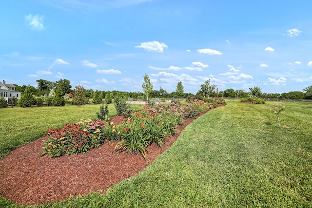 4720 Edwardian Trce, Franklin, TN 37067 - view of green lawn