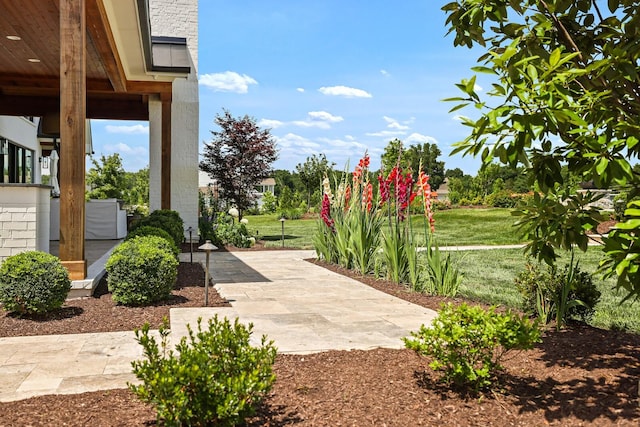 4720 Edwardian Trce, Franklin, TN 37067 - view of green lawn with a patio