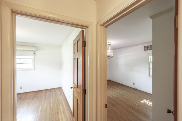 3966 Lawing Dr, Nashville, TN 37207 - photo 33