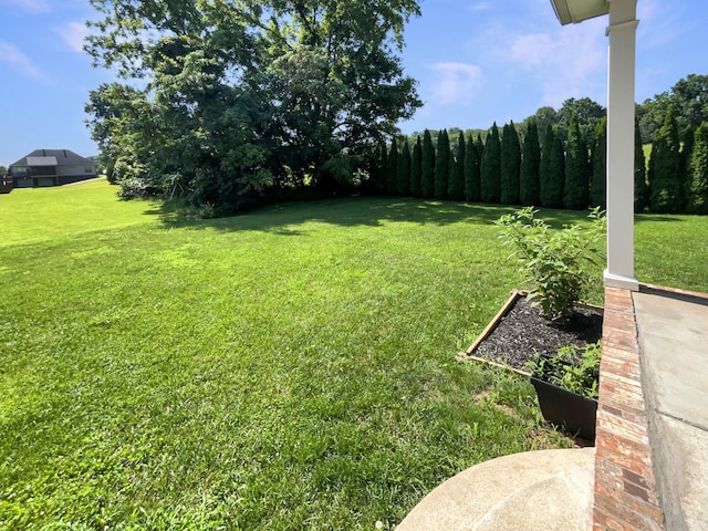 3624 Prestwicke Pl, Adams, TN 37010 - view of grassy yard