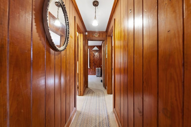 266 Clear Creek Cir, Pulaski, TN 38478 - hall featuring light colored carpet and wooden walls