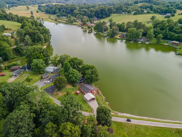 266 Clear Creek Cir, Pulaski, TN 38478 - bird's eye view of a large body of water and a tree filled landscape