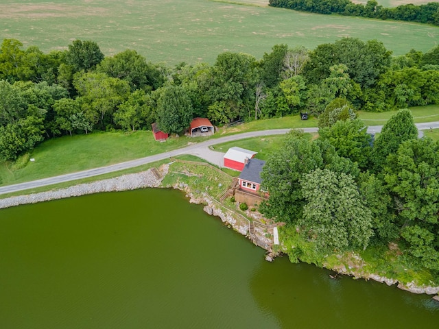 266 Clear Creek Cir, Pulaski, TN 38478 - drone / aerial view of a large body of water