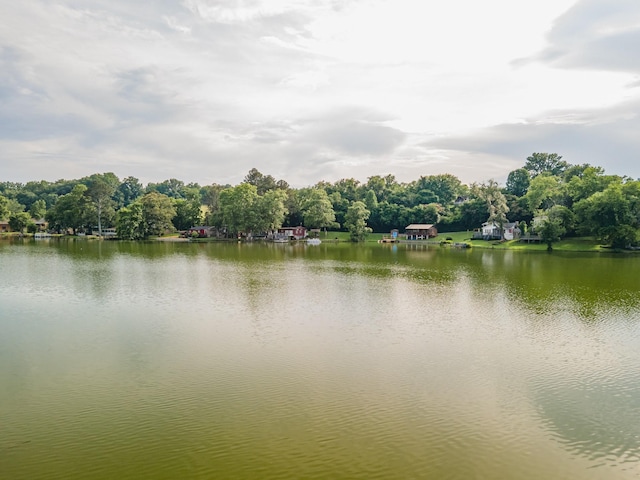 266 Clear Creek Cir, Pulaski, TN 38478 - water view