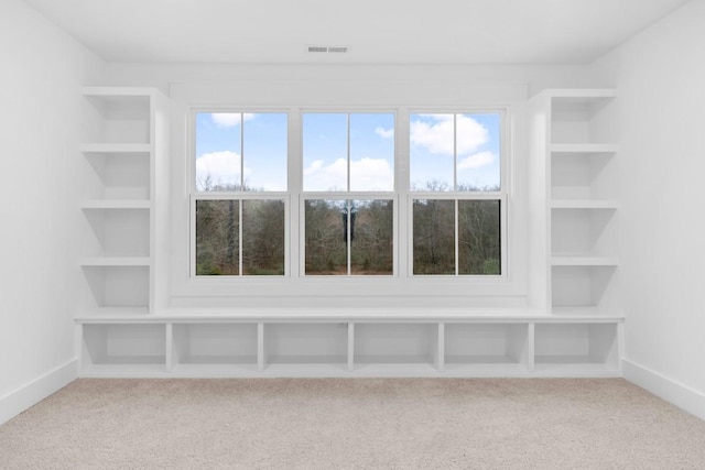24 Sarah Ct, Columbia, TN 38401 - photo 61
