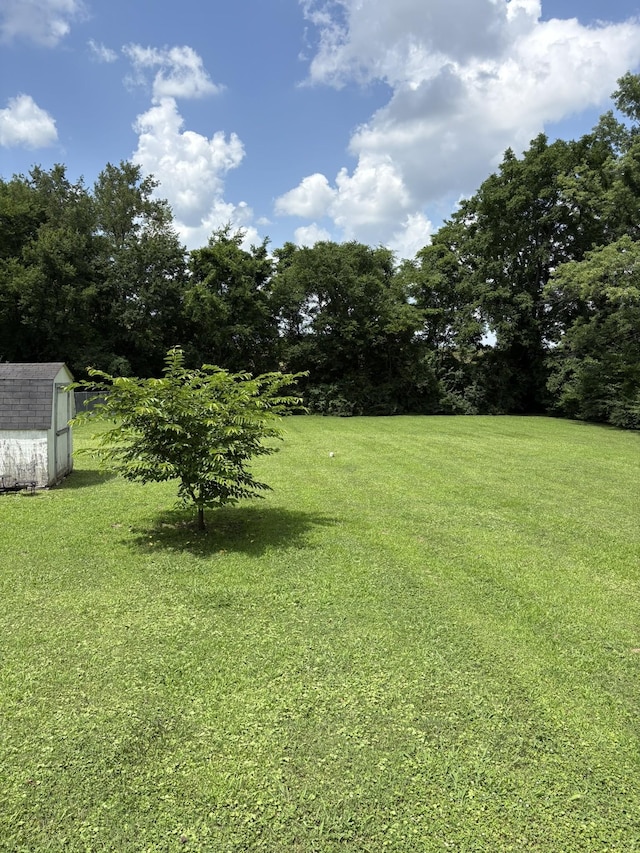 1904 Dahlia Dr, Nashville, TN 37210 - photo 3