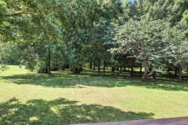 206 Quail Ridge Rd, Smyrna, TN 37167 - photo 32