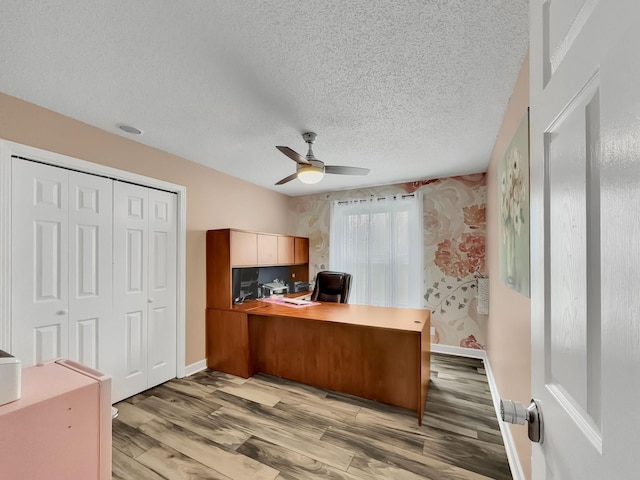 209 River Dr, Mount Juliet, TN 37122 - office space featuring a ceiling fan, a textured ceiling, and light wood-style flooring