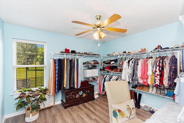 1311 Clifford Dr, Murfreesboro, TN 37129 - walk in closet with wood finished floors and ceiling fan