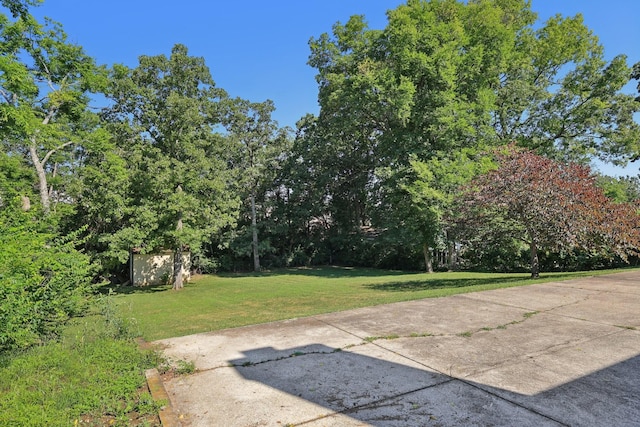 2604 Forest View Dr, Antioch, TN 37013 - view of grassy yard