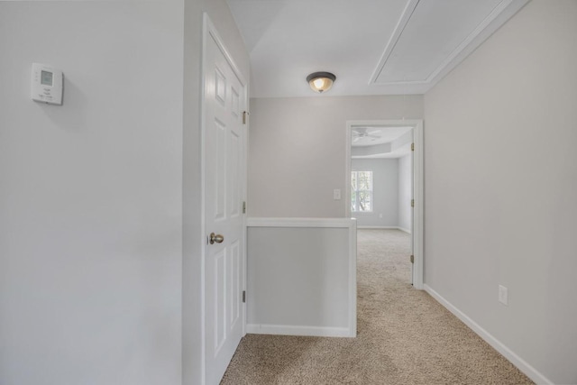 446 Lazy Creek Ln, Nashville, TN 37211 - corridor with attic access and carpet floors