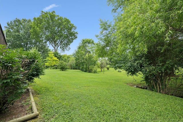 108 Southwood Ln, Shelbyville, TN 37160 - photo 53