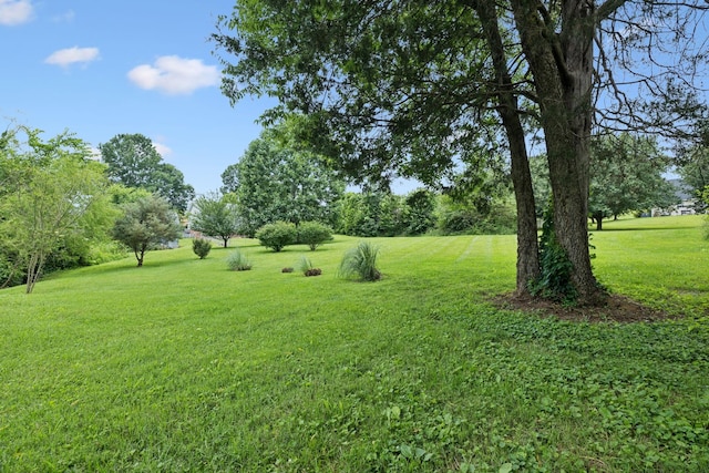 108 Southwood Ln, Shelbyville, TN 37160 - photo 56
