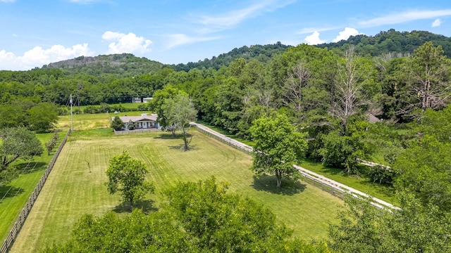 1586 Coleman Rd, Franklin, TN 37064 - photo 62