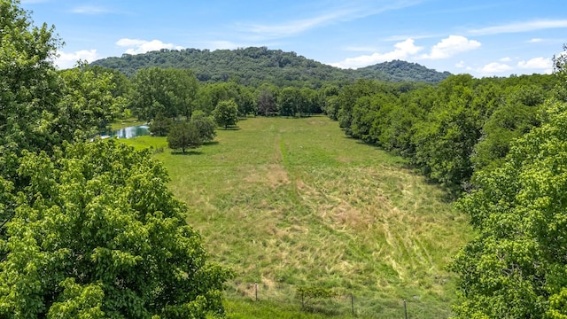1586 Coleman Rd, Franklin, TN 37064 - photo 74