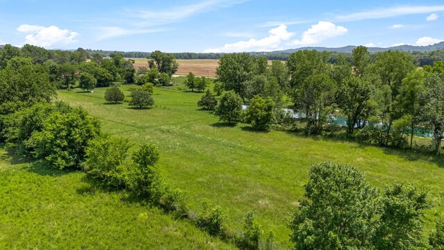1586 Coleman Rd, Franklin, TN 37064 - photo 72