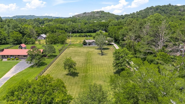1586 Coleman Rd, Franklin, TN 37064 - photo 76