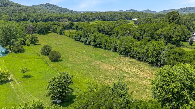 1586 Coleman Rd, Franklin, TN 37064 - photo 71