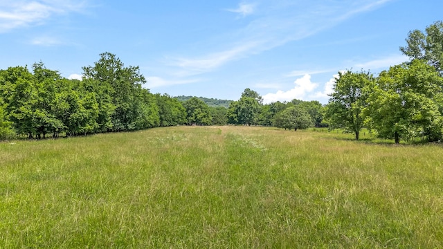 1586 Coleman Rd, Franklin, TN 37064 - photo 73