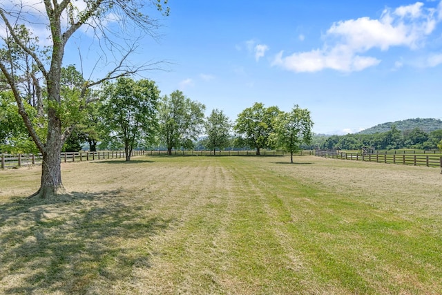 1586 Coleman Rd, Franklin, TN 37064 - photo 44