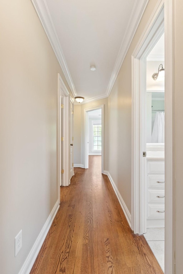 1586 Coleman Rd, Franklin, TN 37064 - photo 25