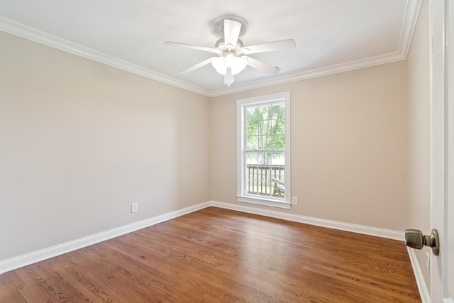 1586 Coleman Rd, Franklin, TN 37064 - photo 33