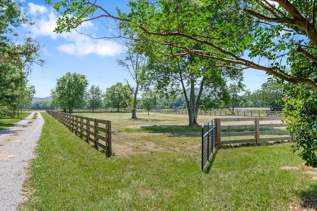 1586 Coleman Rd, Franklin, TN 37064 - photo 43